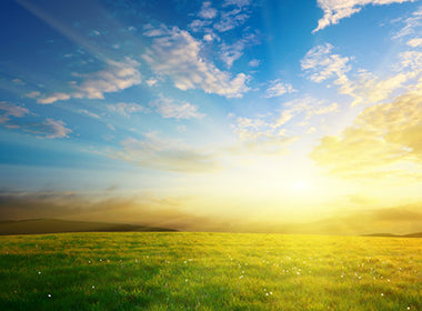 Honoring our Living Source, the EARTH