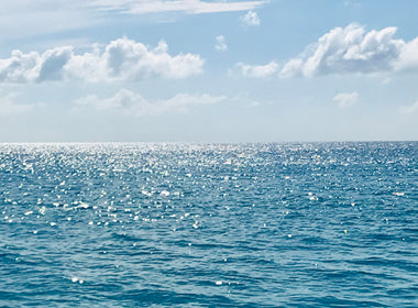 WATER WORLD