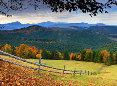 Nourishment + Gratitude