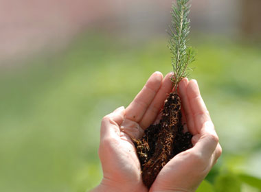 New Beginnings in 2010