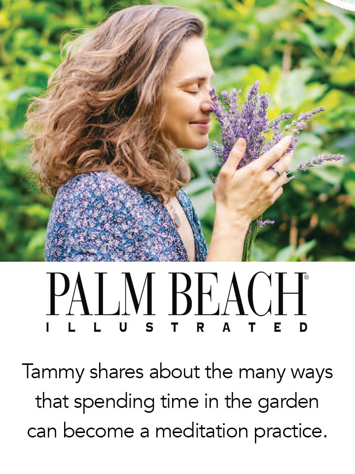 PALM BEACH ILLUSTRATED