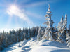 Connect with Winter’s Solar Energy and Shine
