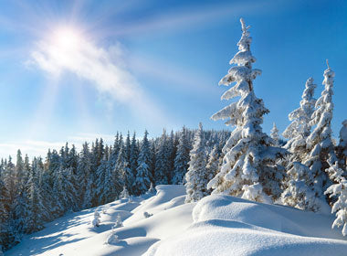 Connect with Winter’s Solar Energy and Shine
