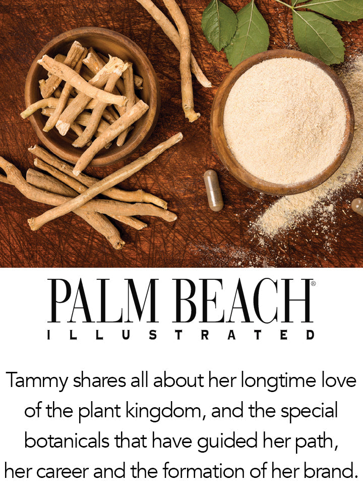 PALM BEACH ILLUSTRATED