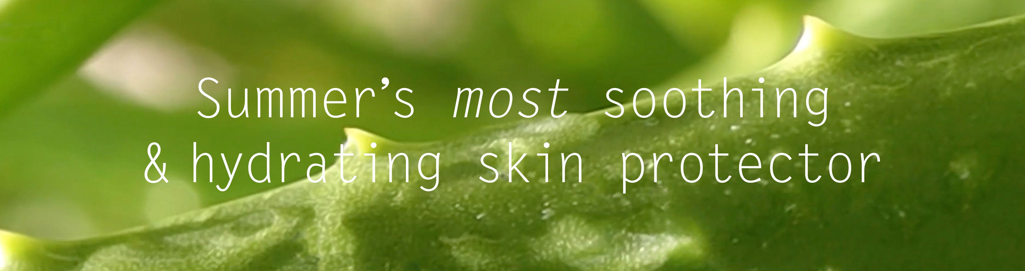 Aloe Vera Skincare
