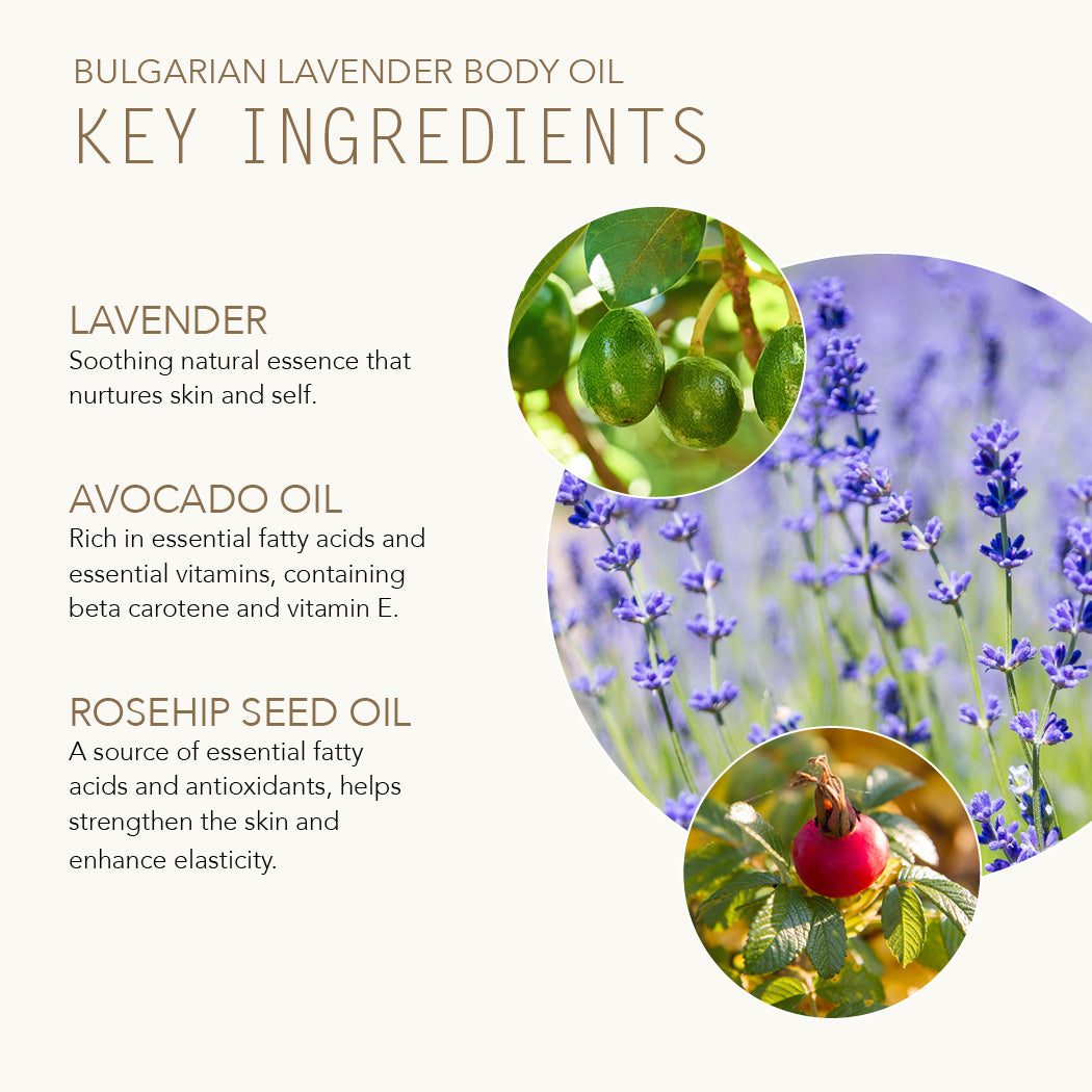 Key Ingredients for Bulgarian Lavender Body Oil include Lavender, Avocado Oil and Rosehip Seed Oil.