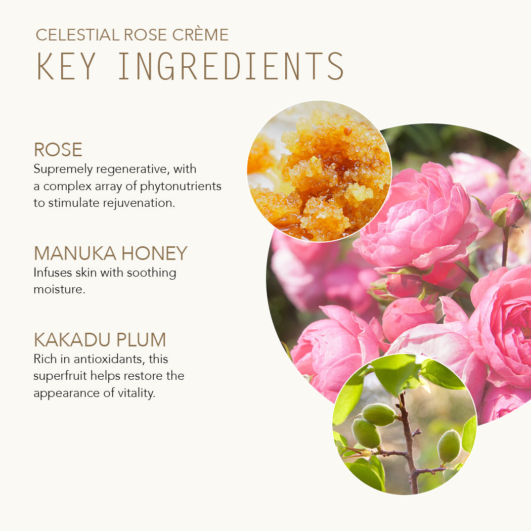 Rose, Manuka Honey and Kakadu Plum are Key Ingredients for Celestial Rose Creme