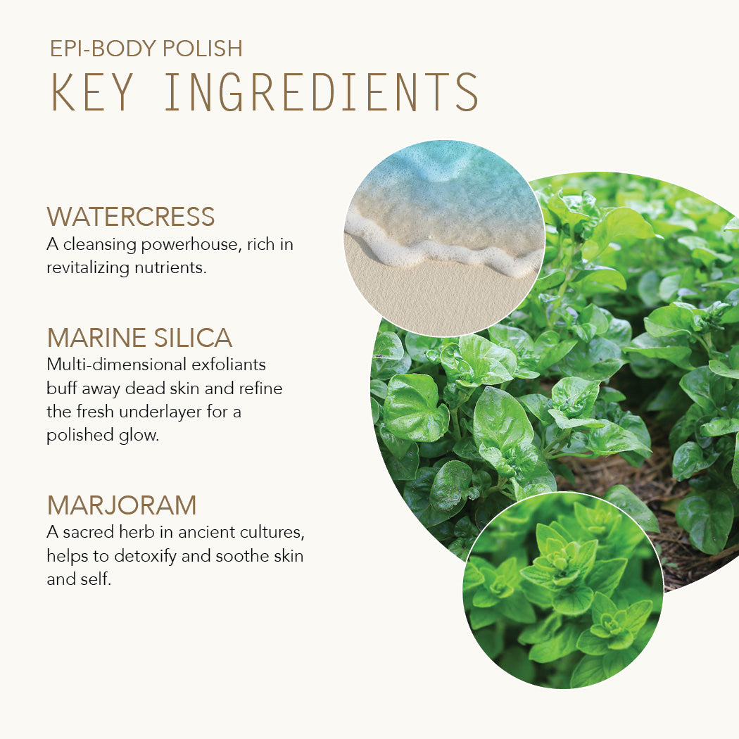 Key Ingredients for Epi-Body Polish include Watercress, Marine Silica and Marjoram.