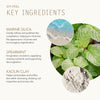 Epi-Peel key ingredients with Marine Silica, Spearmint and Kaolin Clay