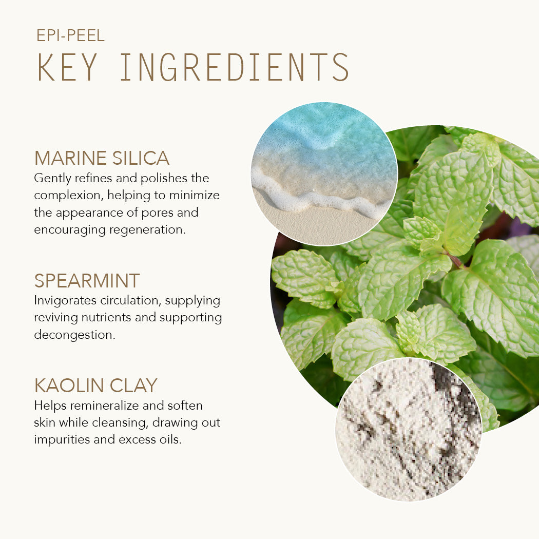 Epi-Peel key ingredients with Marine Silica, Spearmint and Kaolin Clay