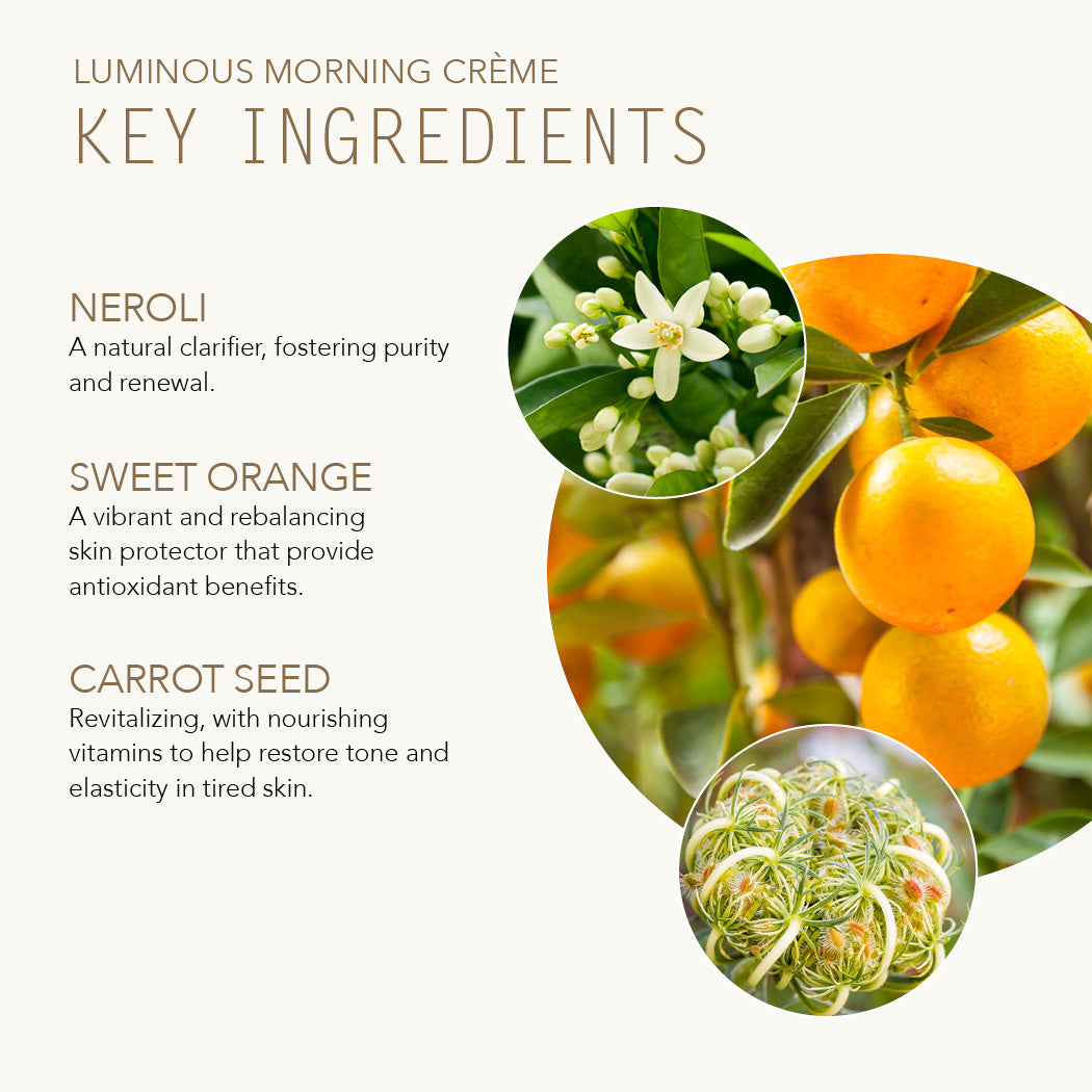 Luminous Morning Creme with key ingredients Neroli, Sweet Orange and Carrot Seed.