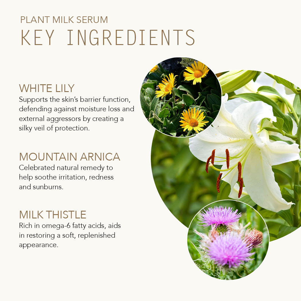 Plant Milk Serum key ingredients are White Lily, Mountain Arnica and Milk Thistle