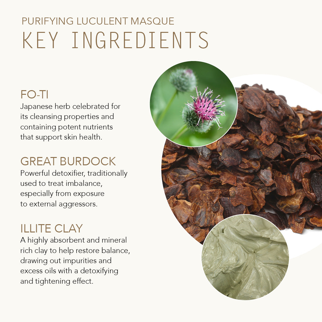 Purifying Luculent Masque key ingredients are FoTi, Great Burdock and Illite Clay