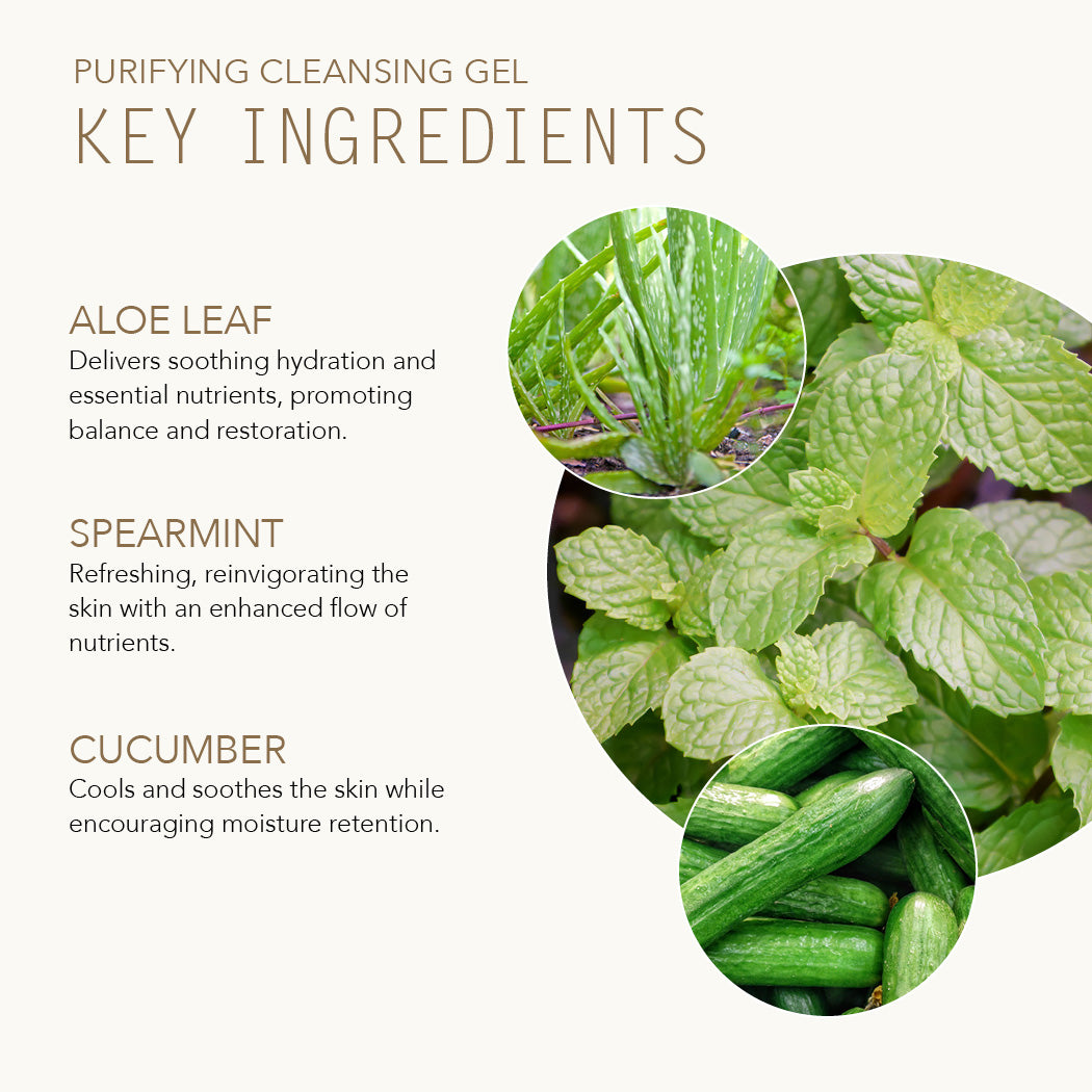 Purifying Cleansing Gel key ingredients are Aloe Leaf, Spearmint and Cucumber.