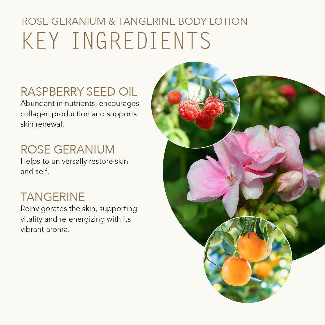 Rose Geranium & Tangerine Body Lotion key ingredients with raspberry seed oil, rose geranium, and tangerine.