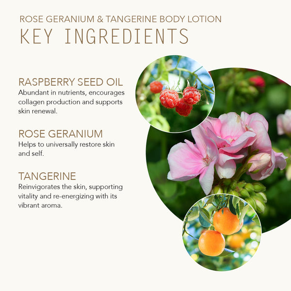 rose geranium seeds Rose Body Lotion