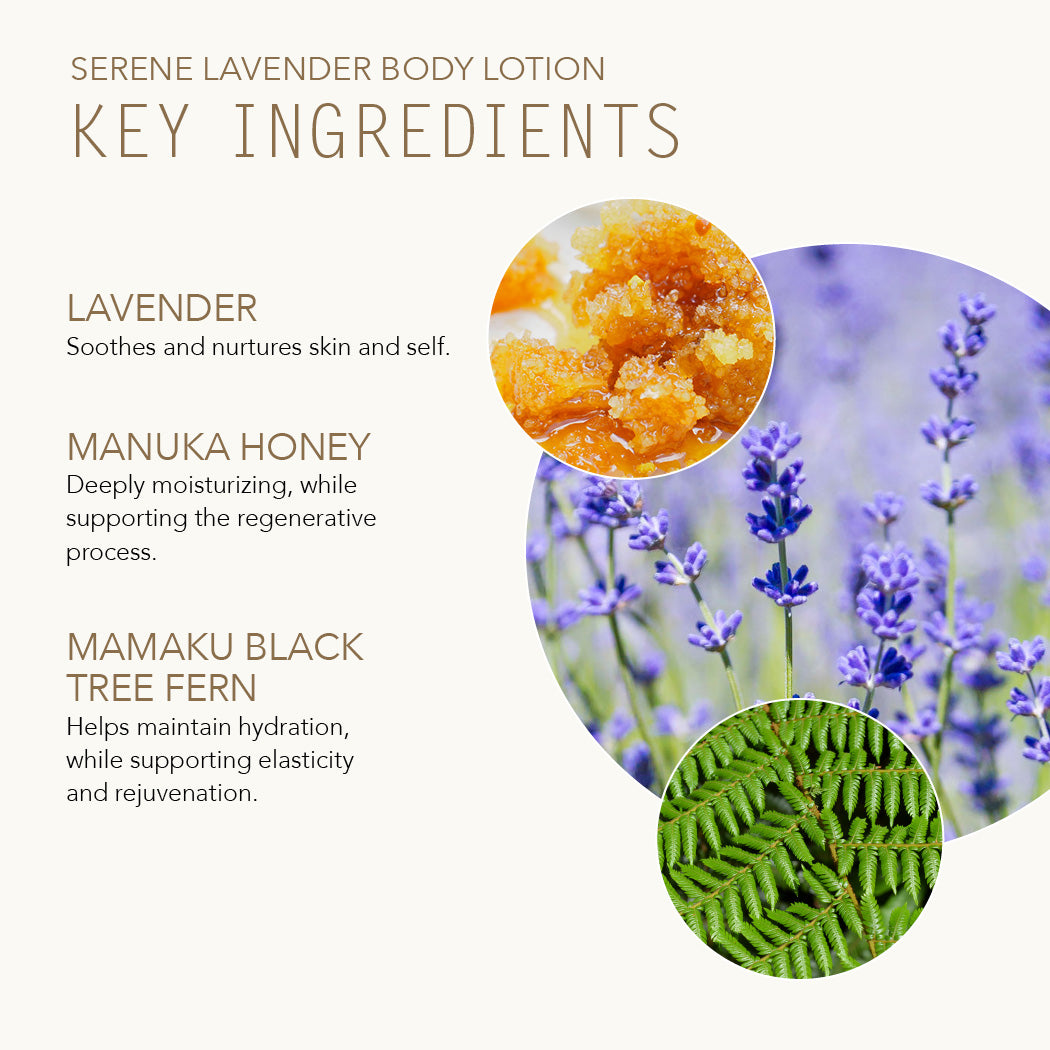 Serene Lavender Body Lotion key ingredients with Lavender, Manuka Honey, and Mamaku Black Tree Fern.
