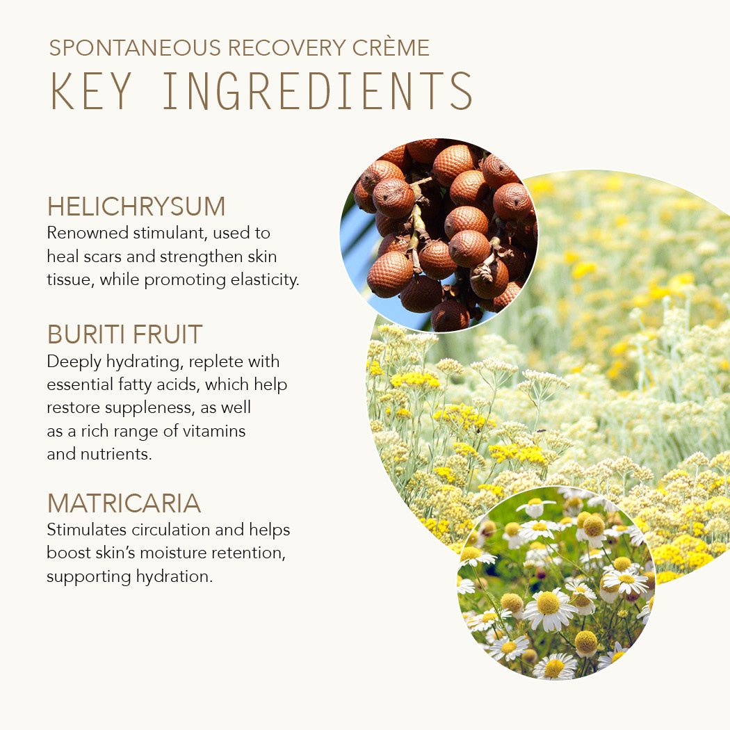 Spontaneous Recovery Creme key ingredients with Helichrysum, Buriti Fruit, and Matricaria.